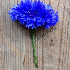 Ascot Cornflower Buttonhole