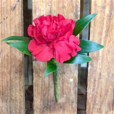 Carnation Buttonhole