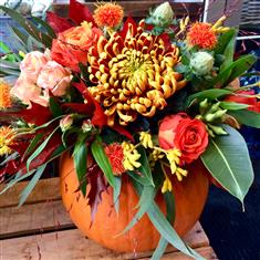 Autumn Pumpkin Arrangement