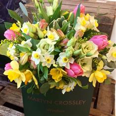 Pastel Spring Selection