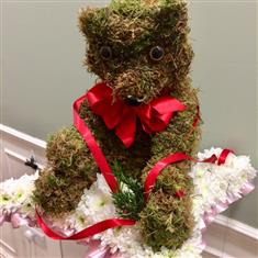 Moss Teddy Bear