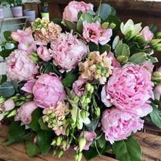 Peony Perfection