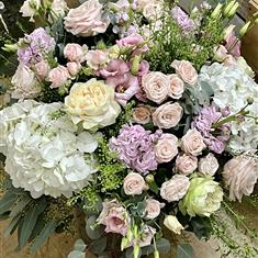 Pastel Perfection
