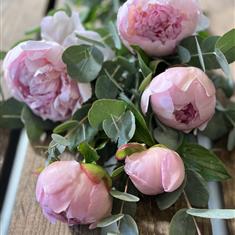 Simply Peonies