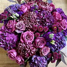 Damson Dream