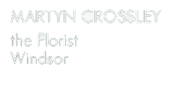 Martyn Crossley