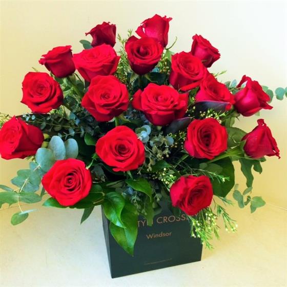 True Love - 18 Roses