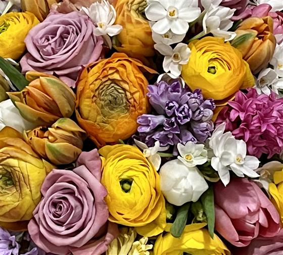 Spring Fantasy